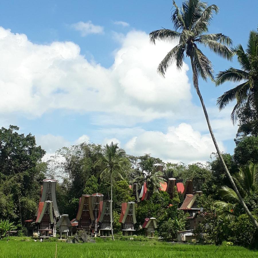 Toraja Manubackpacker 호텔 란테파오 외부 사진