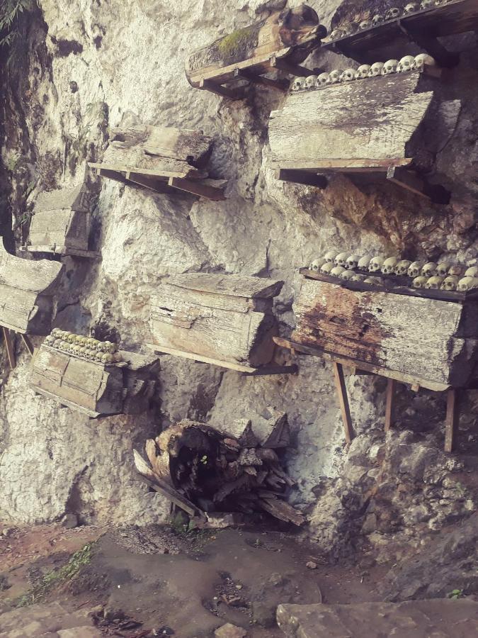 Toraja Manubackpacker 호텔 란테파오 외부 사진